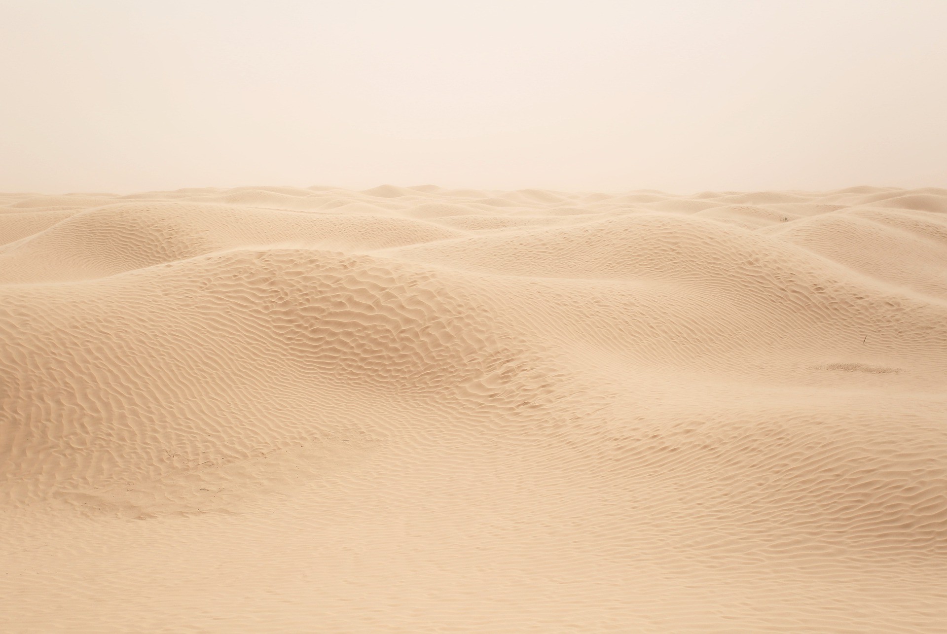 Pustynia | Zdjęcie przedstawia wydmy na pustyni